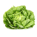 Salade Laitue, la pièce