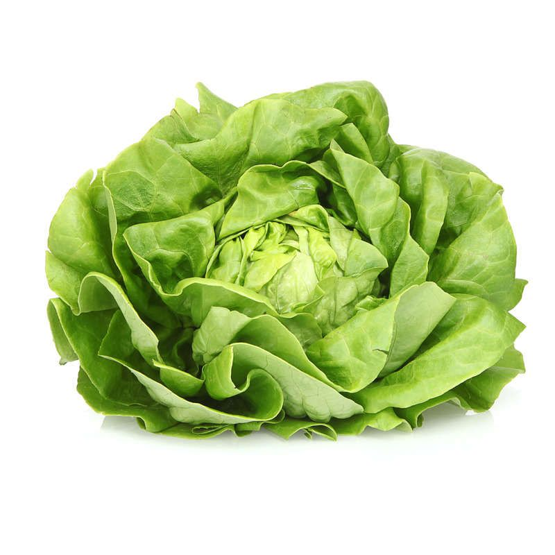 Salade Laitue, la pièce