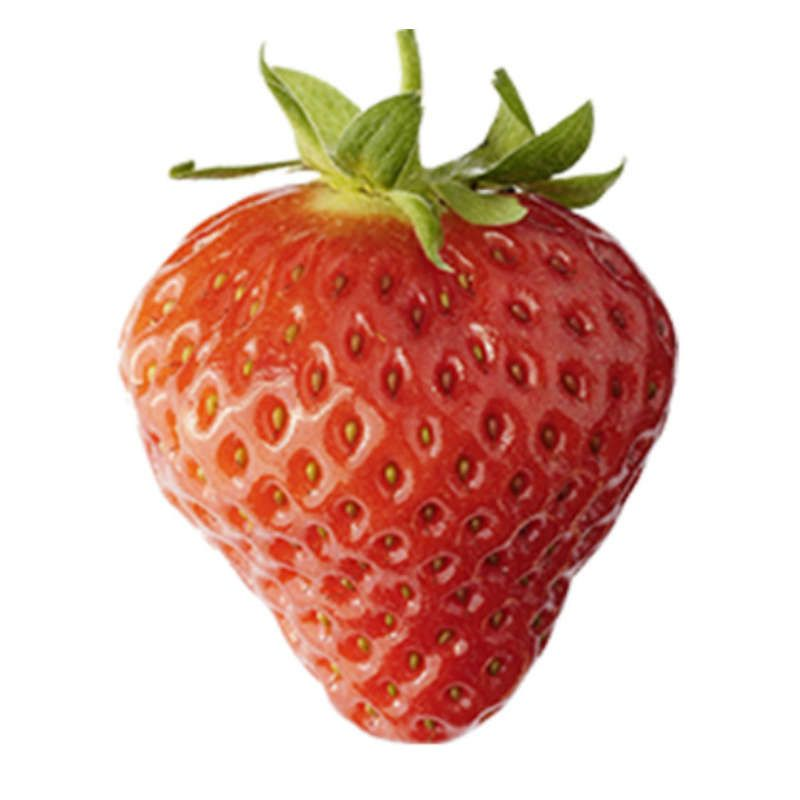 Fraise mara des bois 250g