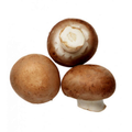 Champignon brun moyen 250g