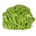 Salade batavia blonde 300g
