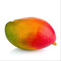 Mangue calibre 10 1 pièce