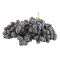 Raisin Noir Lavallée 8 kg