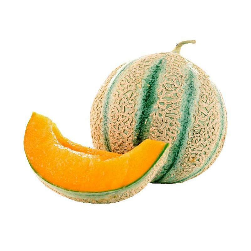 Melon 15 top sucre garanti